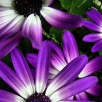 Kimberly Fry Photo 38