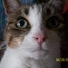Mary Gage Photo 20