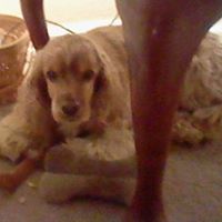 Max Long Photo 24