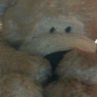 Timothy Theodore Photo 3