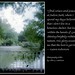 Jackie Pullen Photo 19