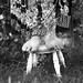 Travis Bench Photo 8
