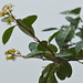 Robert Tinkle Photo 8