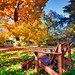 Glen Kay Photo 11