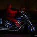 Bonnie Power Photo 15