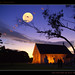 Tracey Moon Photo 16