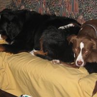Debbie Baer Photo 35