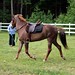 Vickie Young Photo 14