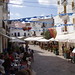 Carol Nieves Photo 13