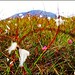 Heather Mayo Photo 23