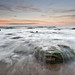 Sandy Reed Photo 10