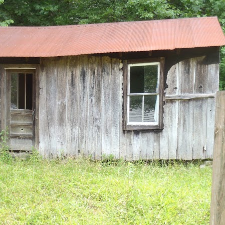 Joann Wilson Photo 31