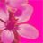 Marianne Miller Photo 23