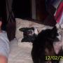 Thomas Cody Photo 40