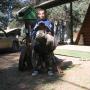 Shawn Rea Photo 17