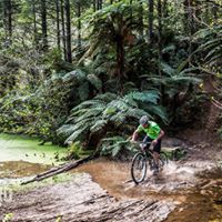 Jeremy Smart Photo 34