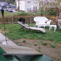 Martha Crowe Photo 22
