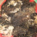 Jacob Cross Photo 15