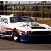 Robin Bell Photo 47