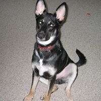 Lance Barker Photo 9