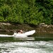 Kevin Toth Photo 18