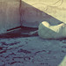 Tamara Lay Photo 6