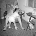 Lillian Fox Photo 35