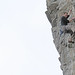 Mark Riley Photo 15