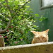 Martha Walls Photo 15