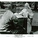 Deborah Allison Photo 11