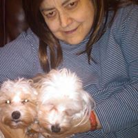 Linda Scheiner Photo 6