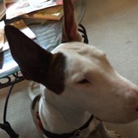 Sharon Conners Photo 21