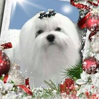 Becky Stephens Photo 8