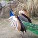 Gail Potter Photo 17