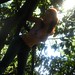 Christina Lindsey Photo 23