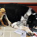Juanita Jackson Photo 31