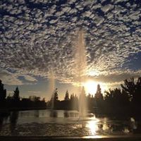 Sandy Sanders Photo 35