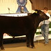 Jefferson Moser Photo 11