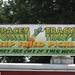Tracey Hudson Photo 36