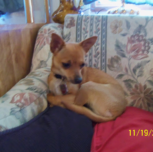 Ann Reese Photo 10