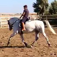 Jose Jarana Photo 5