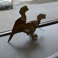 Pamela Skaggs Photo 8