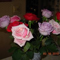 Jeanne Nadeau Photo 14
