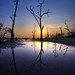 Connie Sands Photo 23