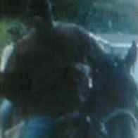 Mark Harris Photo 22