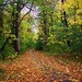 Renee Woods Photo 27
