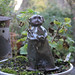 Debbie Haynes Photo 16