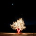 Robin Chatfield Photo 15