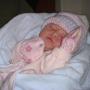 Judy Wolfe Photo 39