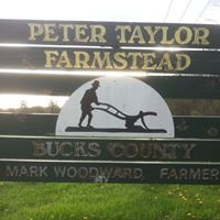 Peter Taylor Photo 59